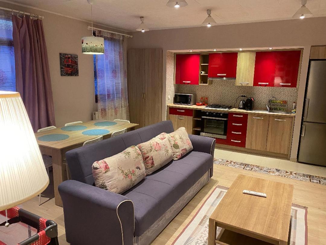 Igi Red Flat With Free Private Parking Apartman Kolozsvár Kültér fotó